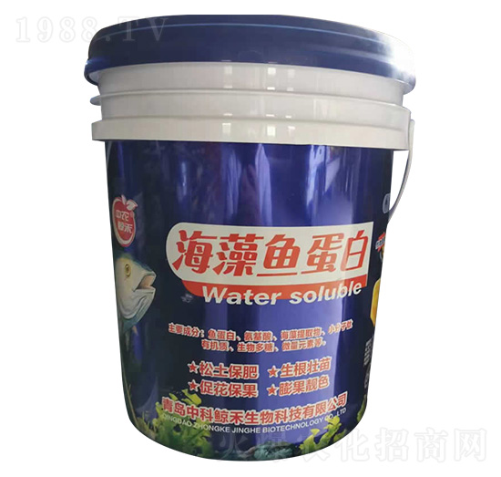 �����~(y��)����-���r(n��ng)�L��