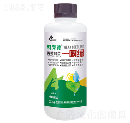 �S�~����һ���G-���R��-��¶�����S