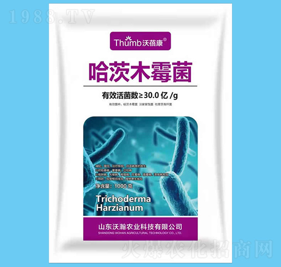 ����ľù����30�|�����-������-����r(n��ng)�I(y��)