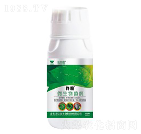 �׷�ʭ����(zhu��n)��΢�������-�Ʒ�-�֠���(y��u)