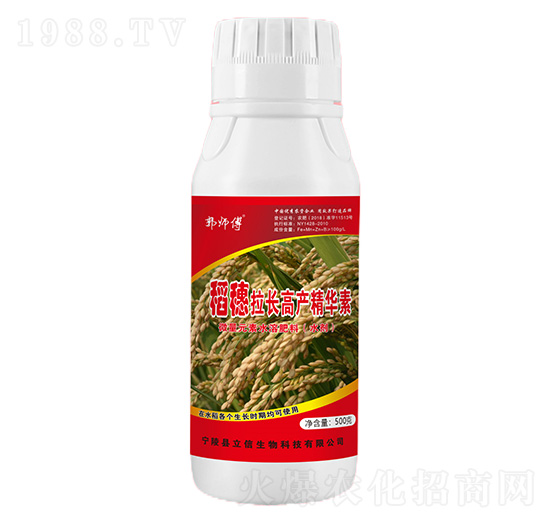 �������L�߮a���A��-������-��������