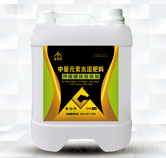 �}�V���\�F�~�f-���ͬ�