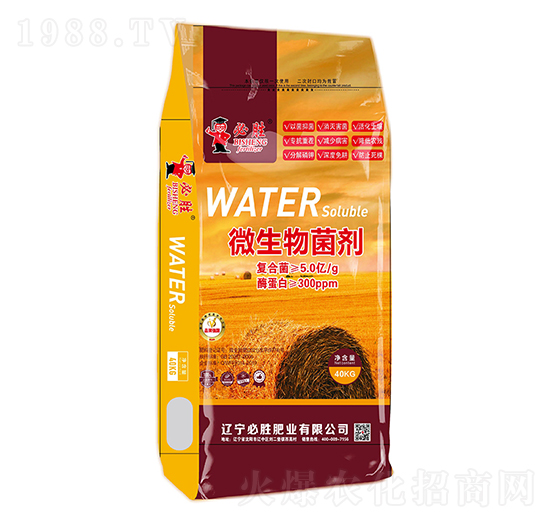 ΢�������-�؄�