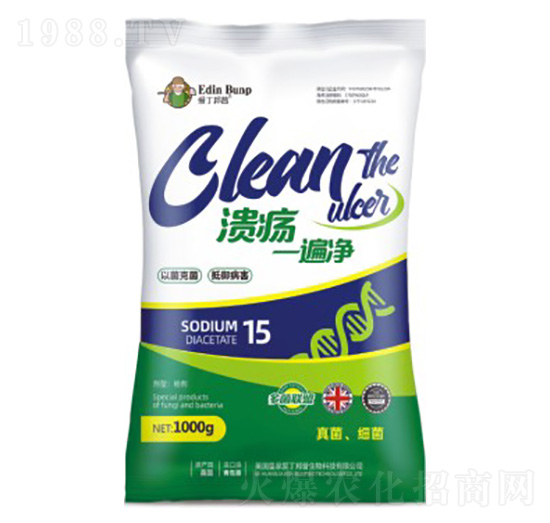 ����һ���-��(��i)������