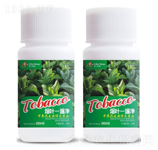 ���~һ���-��(��i)������