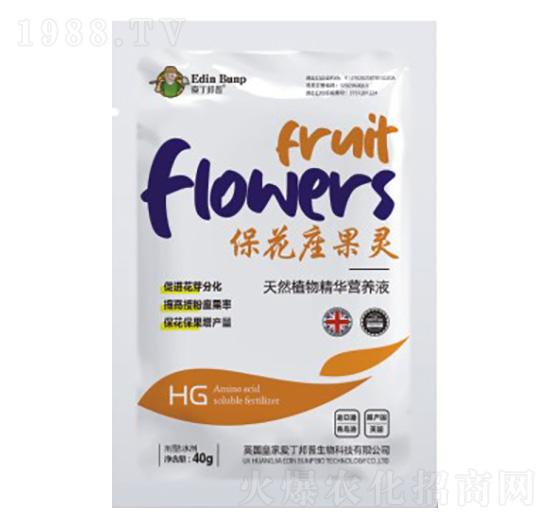 ?；ㄗ`-愛丁邦普