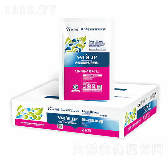 �ٻ������-嫰�����