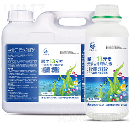 ϡ��13Ԫ��-����������