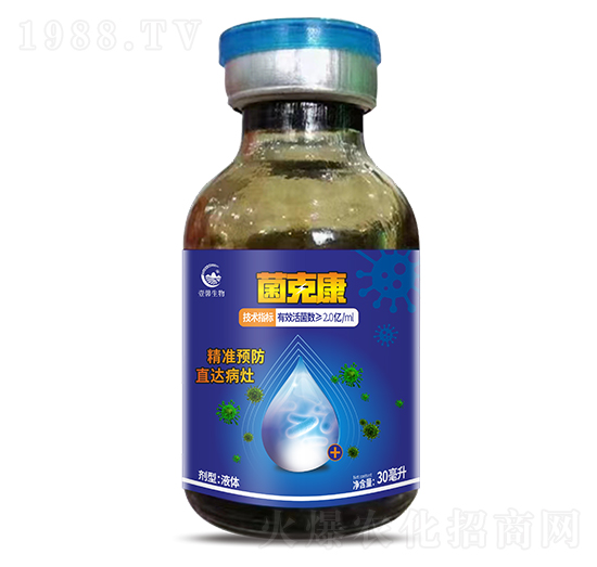 ���˿�-����������