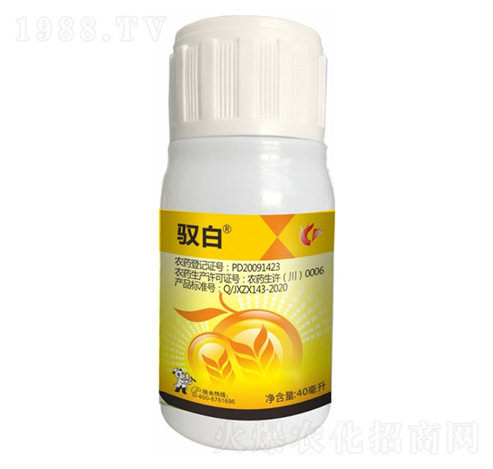 12%���������ͪ-�S��-����¡����