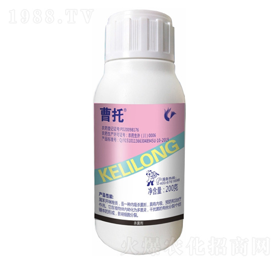 200�˼׻�����`-����-����¡����