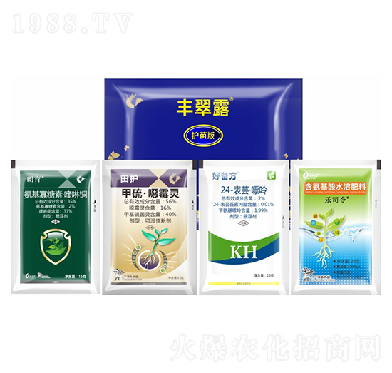 �S��¶���o��棩-����¡����