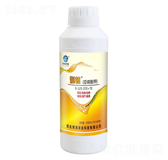 �n�D�������0-525-270+TE-��������