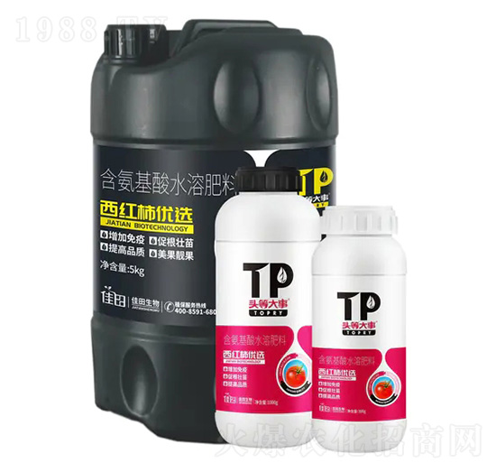 西紅柿優(yōu)選含氨基酸水溶肥料-頭等大事-佳田生物