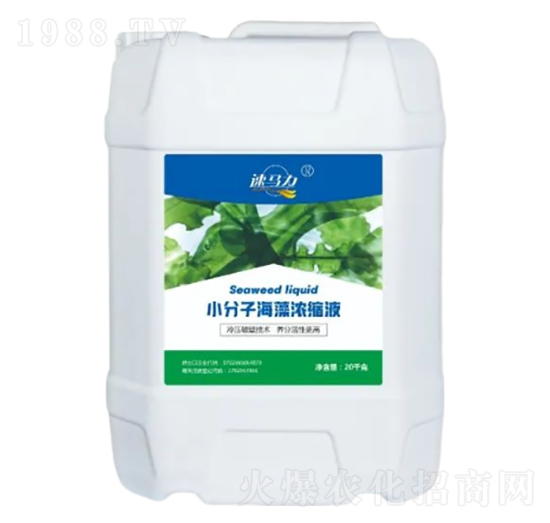 小分子海藻濃縮液-中澳西農(nóng)
