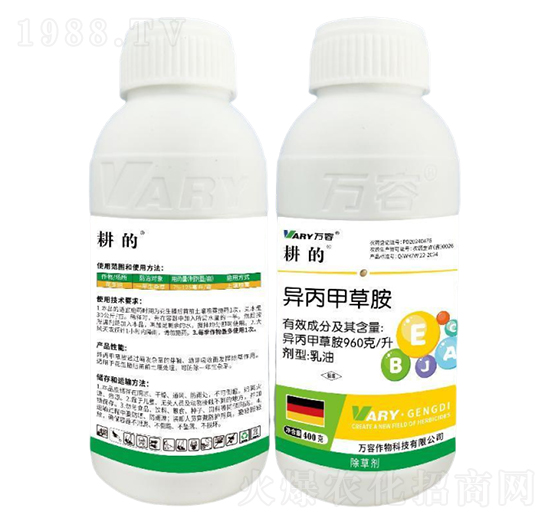 960��/�������ײݰ�-����-�f��