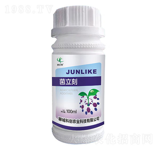 ������-��(chu��ng)�|�z-�ĳǿƄ�(chu��ng)