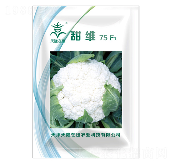 甜維75F1-天隆在田-天隆農(nóng)業(yè)