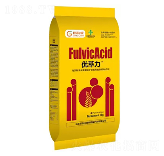 ��(y��u)����-�̶�����