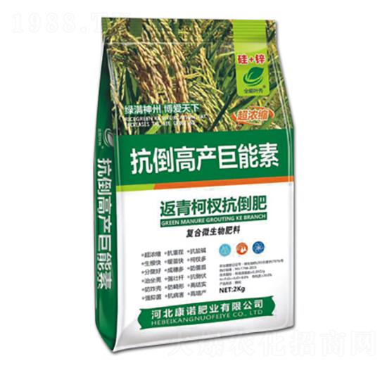 返青柯杈抗倒肥-抗倒高產(chǎn)巨能素-康諾肥業(yè)