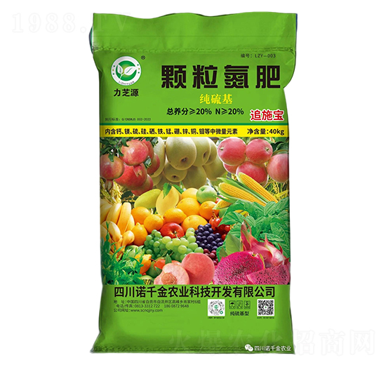 ����������w������-��֥Դ-�Zǧ���r�I(y��)