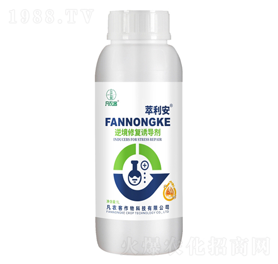 �澳�ޏ�(f��)�T����-������-���r(n��ng)��