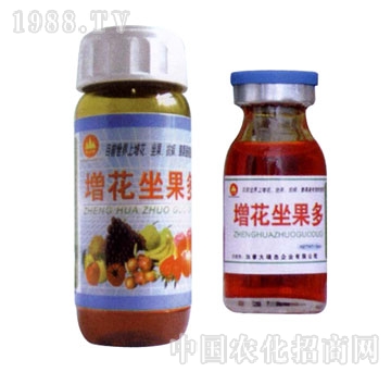 ��ɽ����-����������