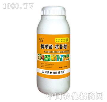 ��(r��n)��-����֬������