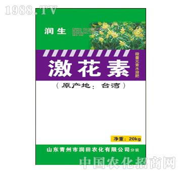 ����-������