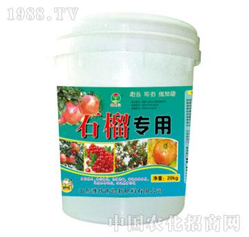 ����-ʯ����