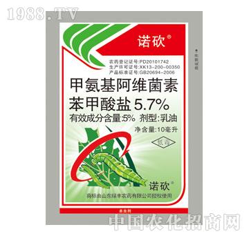 �G�S-�Z��������-�װ������S���ر������}