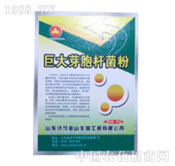 ��ɽ����-�޴�ѿ���U��