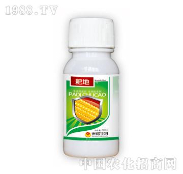 ����-̩�(y��ng)