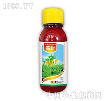 �߷�-̩�(y��ng)