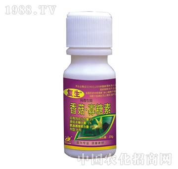 3%�㹽������-����-