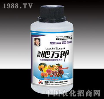 ���f(w��n)⛹���(sh��)ƿ�b