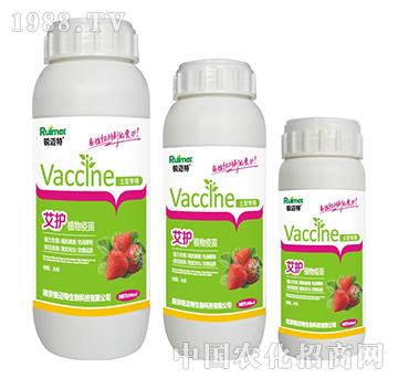 ���o(h��)ֲ�������ݮ����-�J�~��