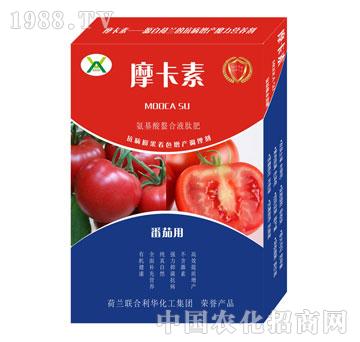 番茄專用氨基酸螯合液肽肥-摩卡素-強芯國際