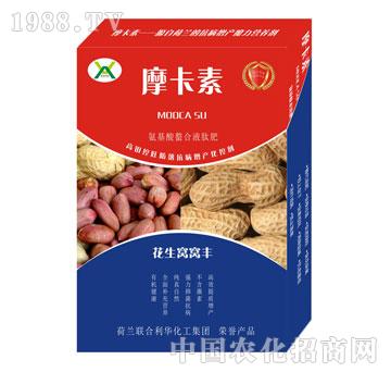 �����C�C�S����������Һ�ķ�-Ħ����-��(qi��ng)о���H