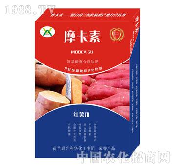 �t�팣(zhu��n)�ð���������Һ�ķ�-Ħ����-��(qi��ng)о��(gu��)�H