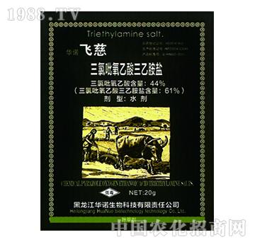 �w��-61%������������ ��~�s�� ��ľ��ľ���݄�