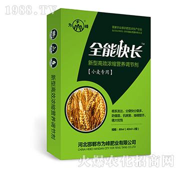 ȫ�ܿ��L��С�����ã�-���͸�Ч��s�I�B(y��ng)�{��(ji��)��-���