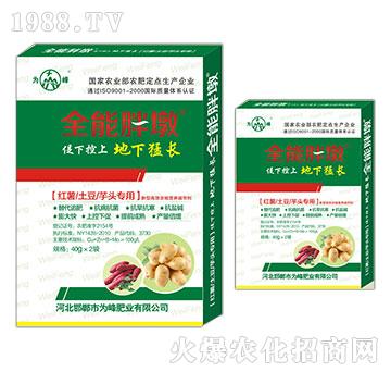 �t�������������^����-ȫ���ֶ�-���