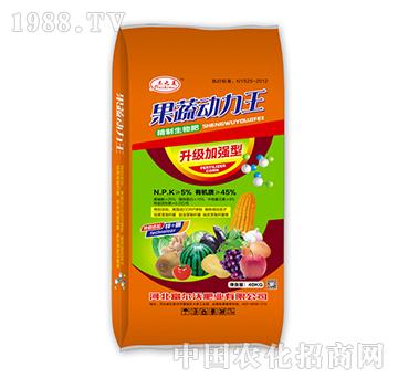 ���߄�����-���������-������