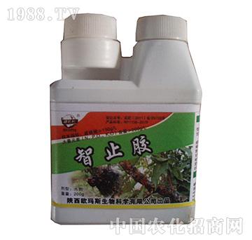 �J������ֹ�z-�W��˹