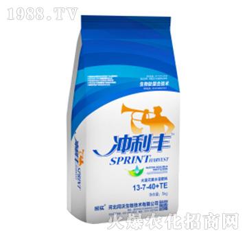 �_���S-�����13-7-40+TE-�c��