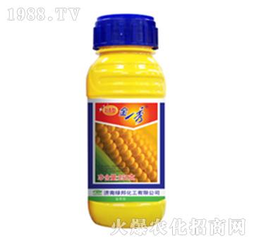 封殺金一秀-綠邦