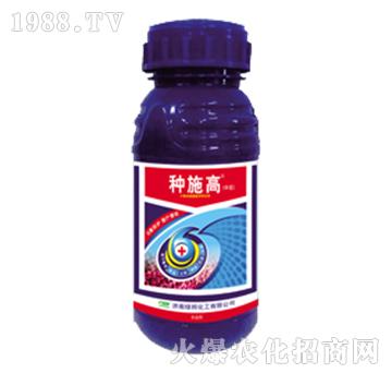 �Nʩ��-�G��