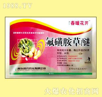 ���ǰ�����-��ů���_-嫘���