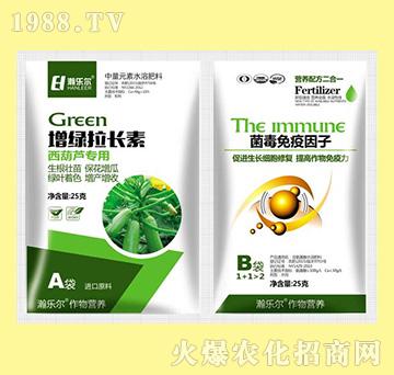 ���G���L(zh��ng)�������J��(zhu��n)��+������������-嫘�(l��)��